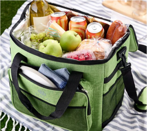 HALO 28L Thermoelectric Cooler & Heater Bag from QVC